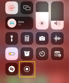 Pull down Control Center and Tap the Record Icon to start 