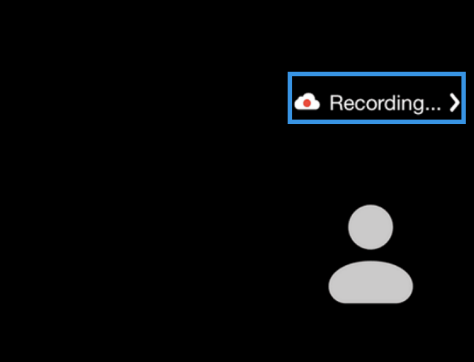 Recording Icon Zoom App