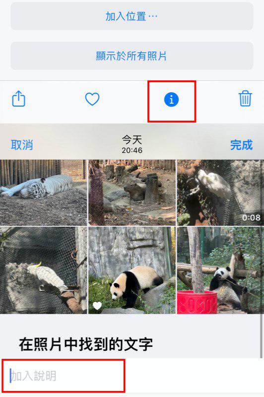 添加 iPhone 照片說明