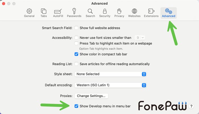 Safari Advanced Settings